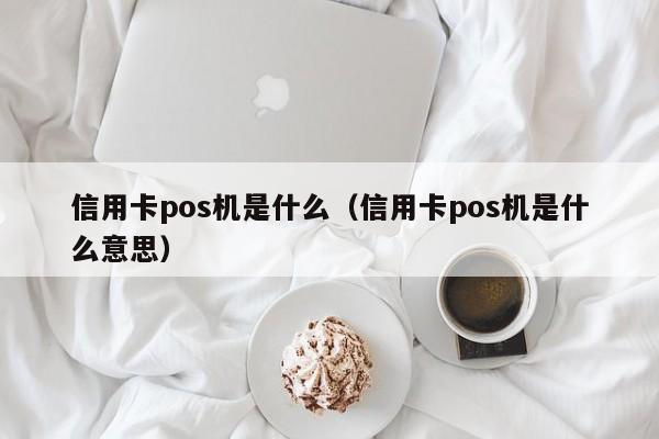 信用卡pos机是什么（信用卡pos机是什么意思）