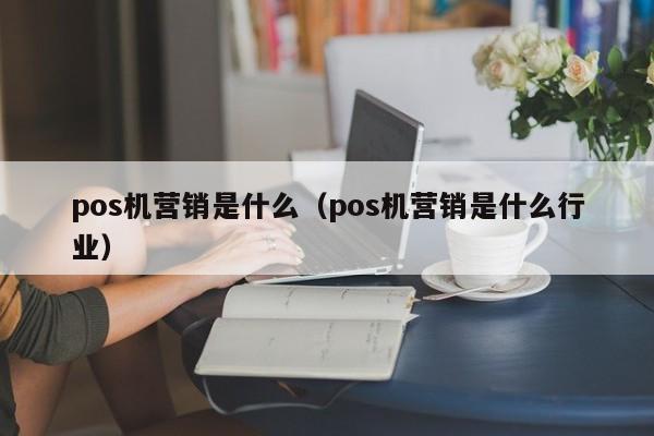 pos机营销是什么（pos机营销是什么行业）