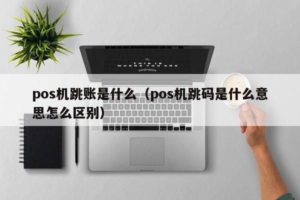 pos机跳账是什么（pos机跳码是什么意思怎么区别）