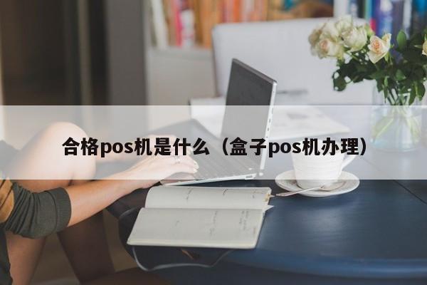 合格pos机是什么（盒子pos机办理）