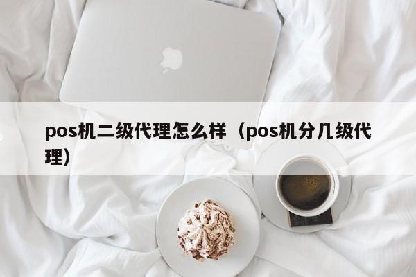 pos机二级代理怎么样（pos机分几级代理）