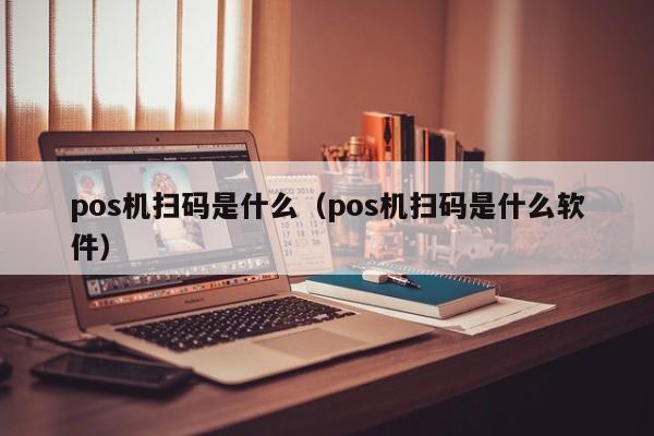 pos机扫码是什么（pos机扫码是什么软件）