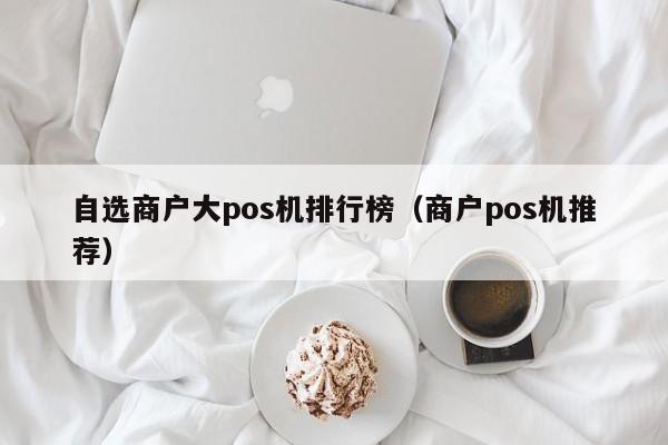 自选商户大pos机排行榜（商户pos机推荐）