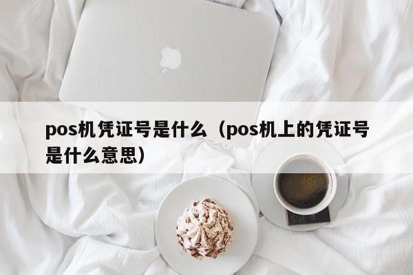 pos机凭证号是什么（pos机上的凭证号是什么意思）