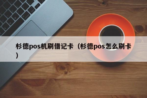 杉德pos机刷借记卡（杉德pos怎么刷卡）