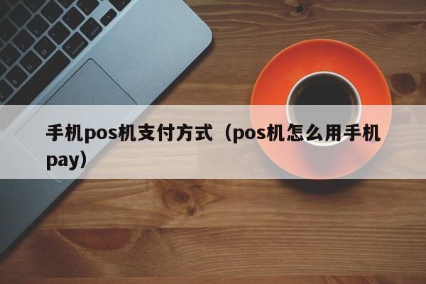 手机pos机支付方式（pos机怎么用手机pay）