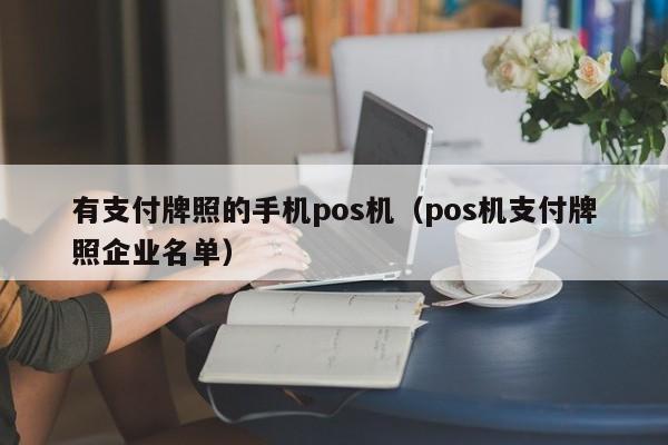 有支付牌照的手机pos机（pos机支付牌照企业名单）