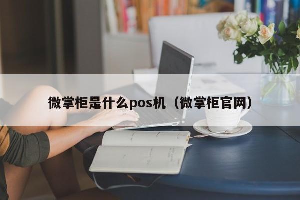 微掌柜是什么pos机（微掌柜官网）