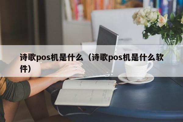 诗歌pos机是什么（诗歌pos机是什么软件）