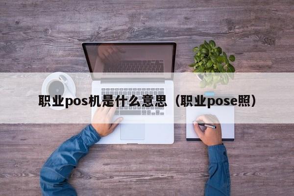 职业pos机是什么意思（职业pose照）