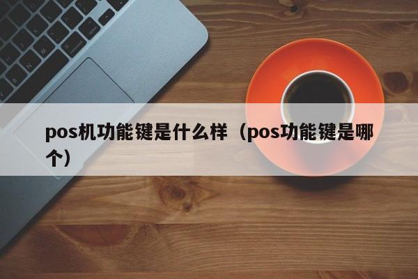 pos机功能键是什么样（pos功能键是哪个）