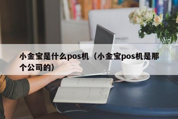 小金宝是什么pos机（小金宝pos机是那个公司的）