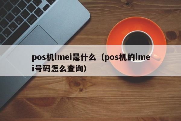 pos机imei是什么（pos机的imei号码怎么查询）