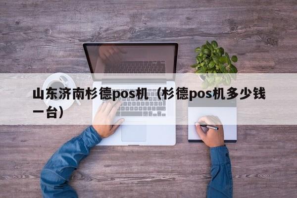 山东济南杉德pos机（杉德pos机多少钱一台）