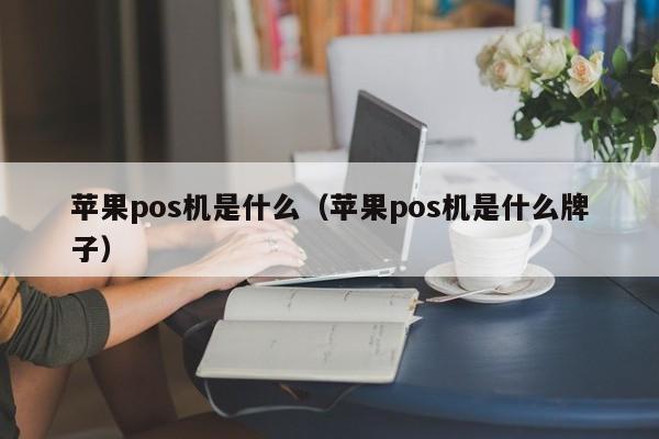 苹果pos机是什么（苹果pos机是什么牌子）