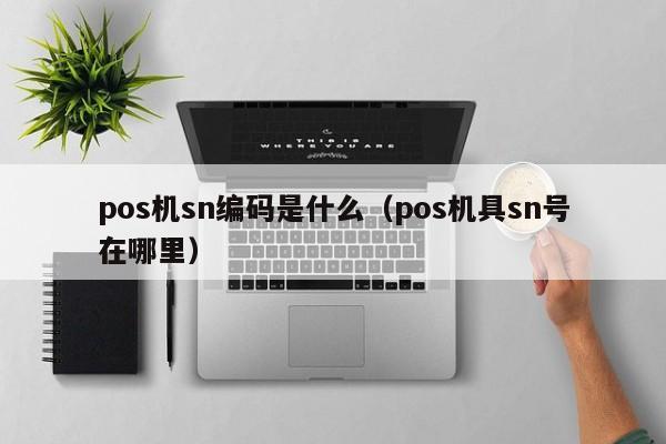 pos机sn编码是什么（pos机具sn号在哪里）