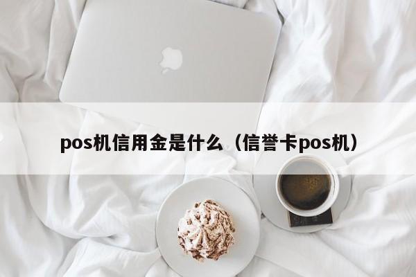 pos机信用金是什么（信誉卡pos机）