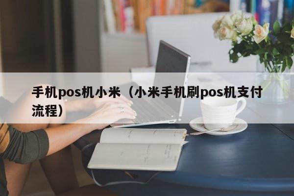 手机pos机小米（小米手机刷pos机支付流程）