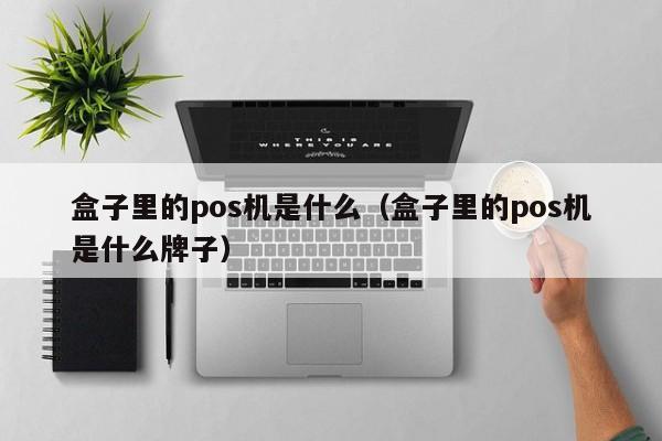 盒子里的pos机是什么（盒子里的pos机是什么牌子）