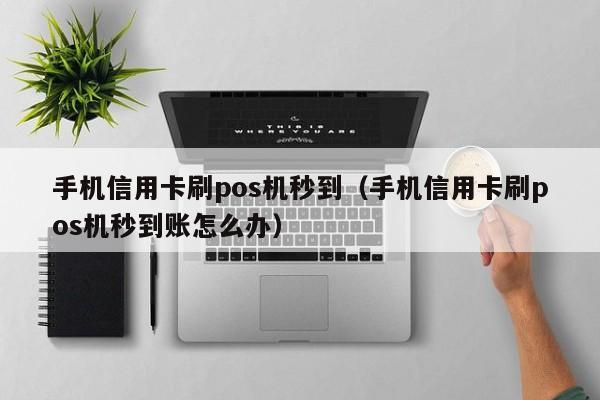 手机信用卡刷pos机秒到（手机信用卡刷pos机秒到账怎么办）