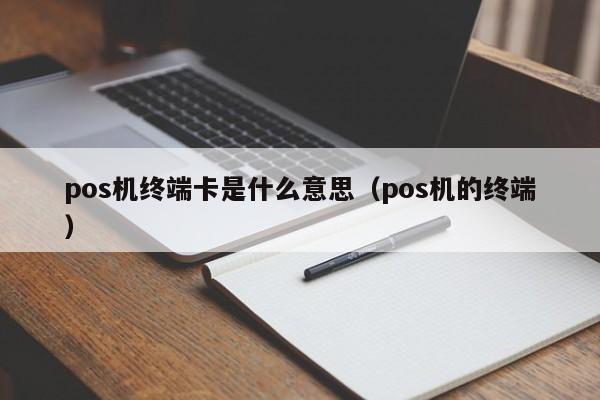 pos机终端卡是什么意思（pos机的终端）