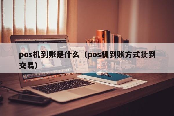 pos机到账是什么（pos机到账方式批到交易）