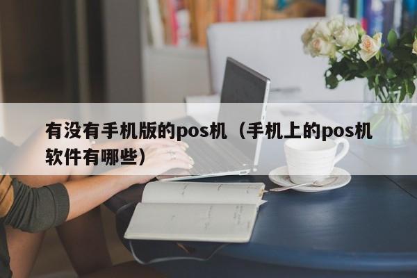 有没有手机版的pos机（手机上的pos机软件有哪些）