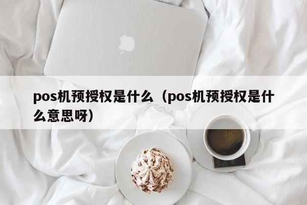 pos机预授权是什么（pos机预授权是什么意思呀）