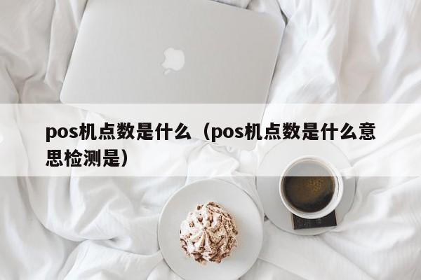 pos机点数是什么（pos机点数是什么意思检测是）