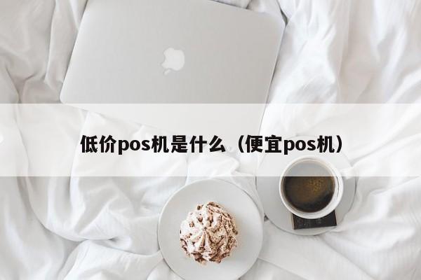 低价pos机是什么（便宜pos机）