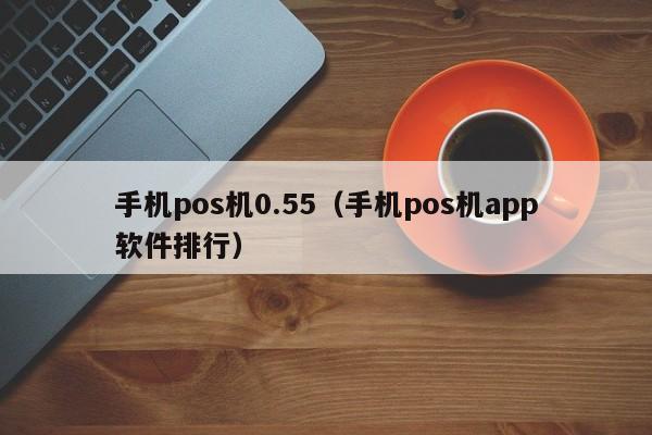 手机pos机0.55（手机pos机app软件排行）