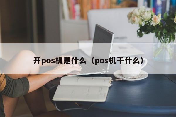 开pos机是什么（pos机干什么）