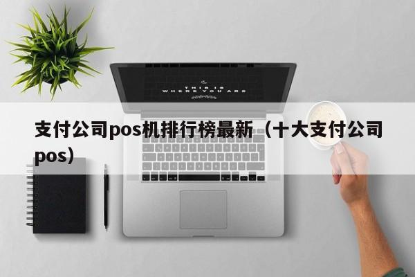 支付公司pos机排行榜最新（十大支付公司pos）