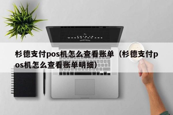 杉德支付pos机怎么查看账单（杉德支付pos机怎么查看账单明细）