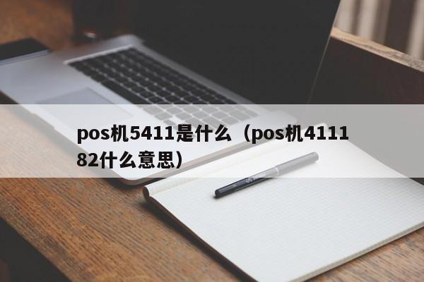 pos机5411是什么（pos机411182什么意思）