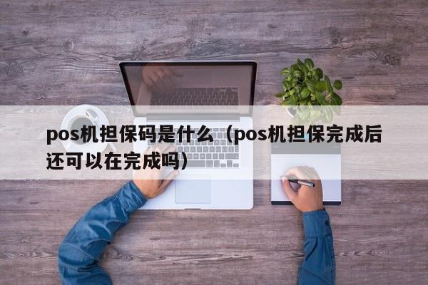 pos机担保码是什么（pos机担保完成后还可以在完成吗）