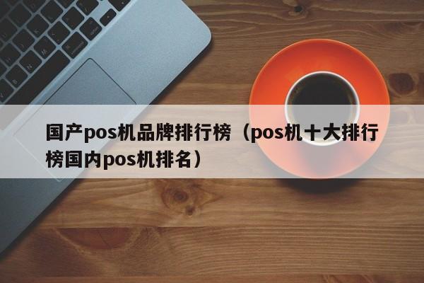 国产pos机品牌排行榜（pos机十大排行榜国内pos机排名）