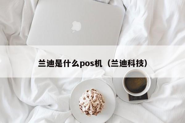 兰迪是什么pos机（兰迪科技）