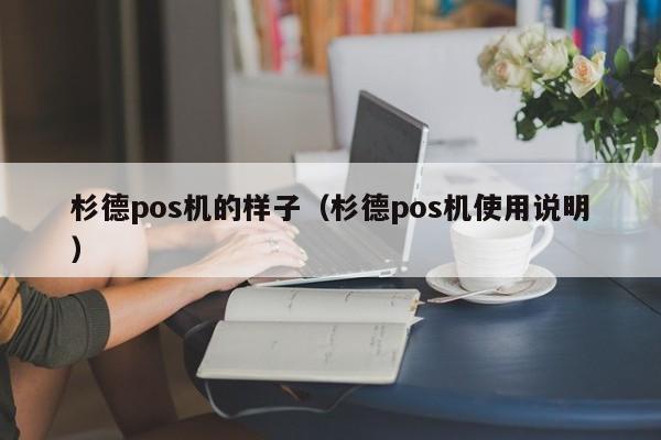 杉德pos机的样子（杉德pos机使用说明）