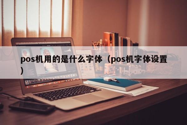 pos机用的是什么字体（pos机字体设置）