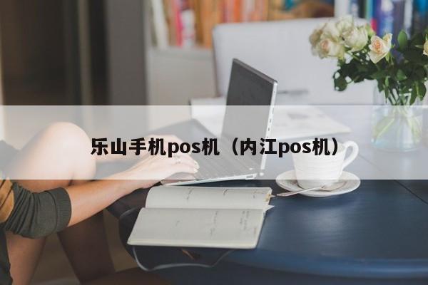 乐山手机pos机（内江pos机）