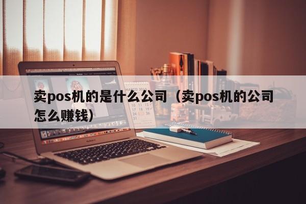 卖pos机的是什么公司（卖pos机的公司怎么赚钱）