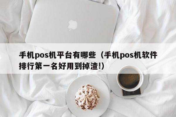 手机pos机平台有哪些（手机pos机软件排行第一名好用到掉渣!）