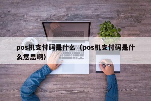 pos机支付码是什么（pos机支付码是什么意思啊）