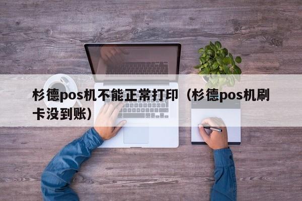 杉德pos机不能正常打印（杉德pos机刷卡没到账）