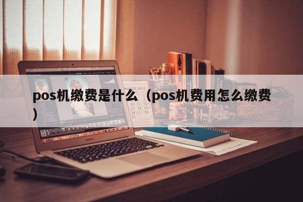 pos机缴费是什么（pos机费用怎么缴费）