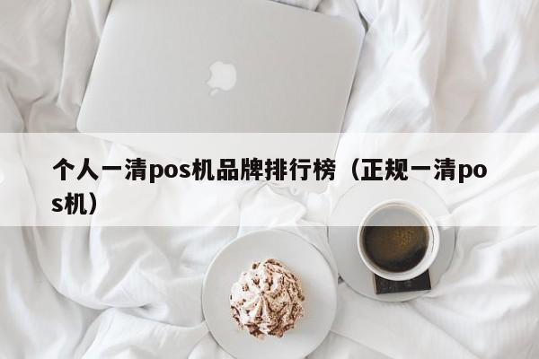 个人一清pos机品牌排行榜（正规一清pos机）