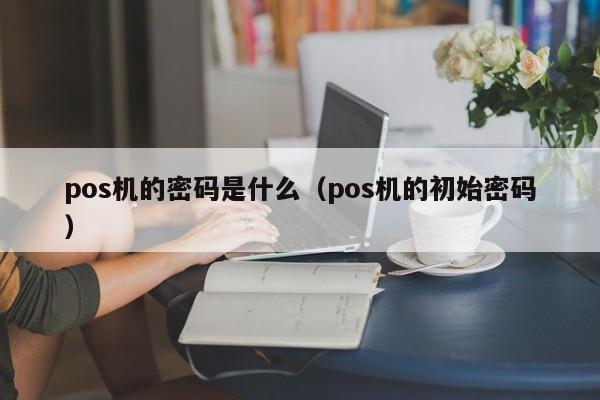 pos机的密码是什么（pos机的初始密码）