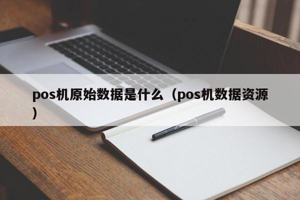 pos机原始数据是什么（pos机数据资源）