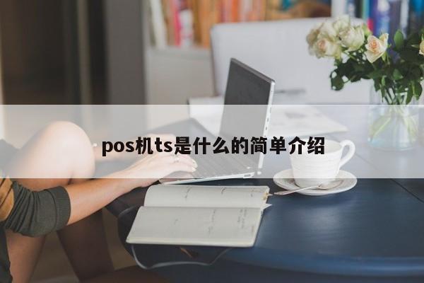 pos机ts是什么的简单介绍